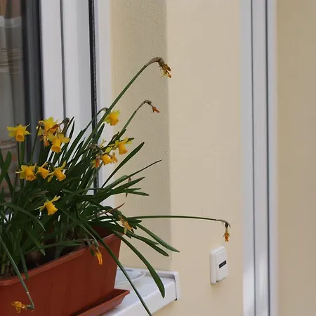 Dom wakacyjny Familie Westermann *