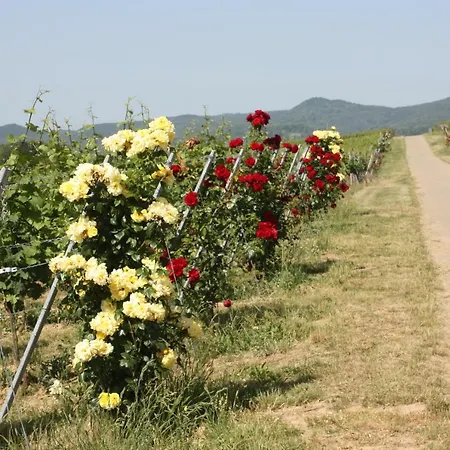 Nyaraló Familie Westermann Kapellen-Drusweiler