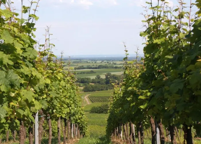 Familie Westermann *