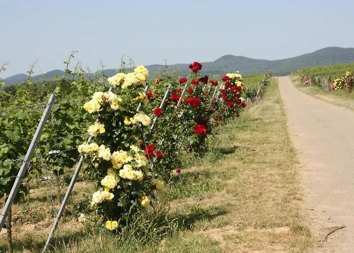 Nyaraló Familie Westermann Kapellen-Drusweiler